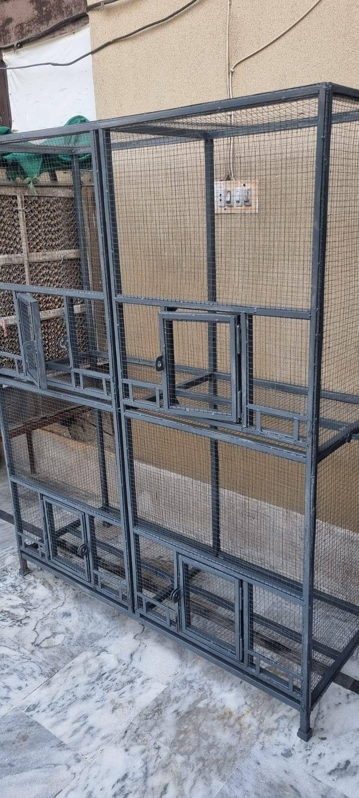 parrots cage 2