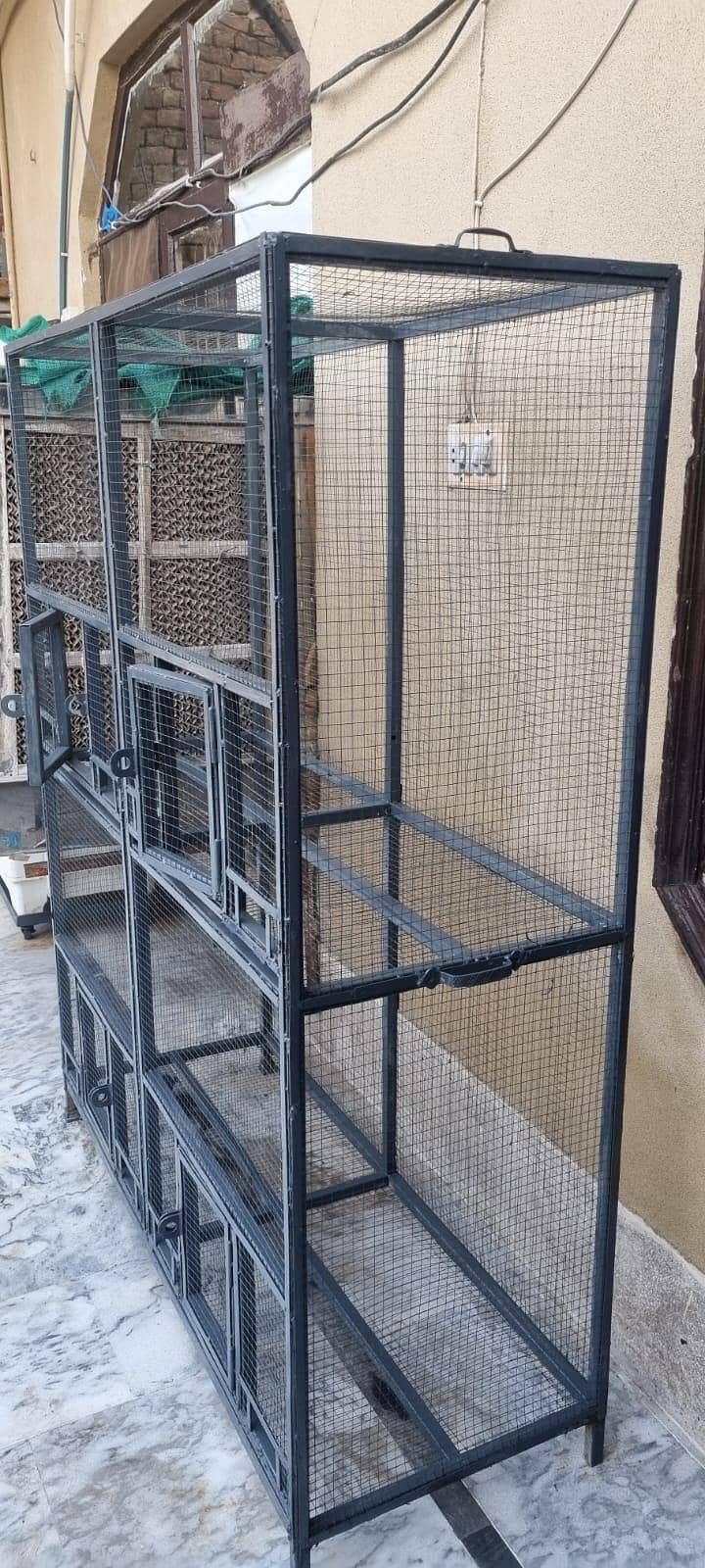 parrots cage 4