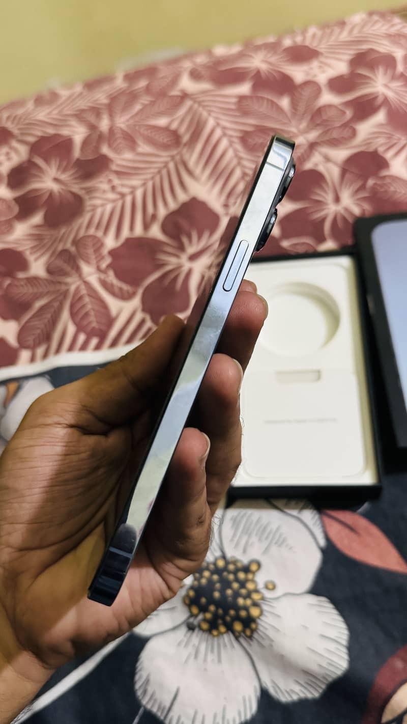 Apple iPhone 13 Pro Max 2