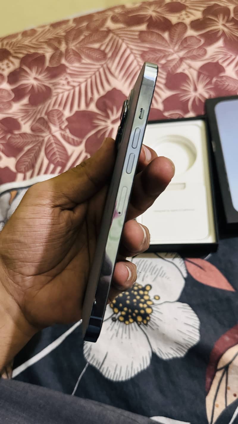Apple iPhone 13 Pro Max 4