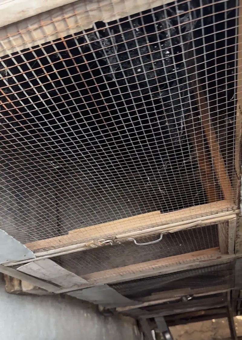 Aseel Cage Setup for sale — photo 6