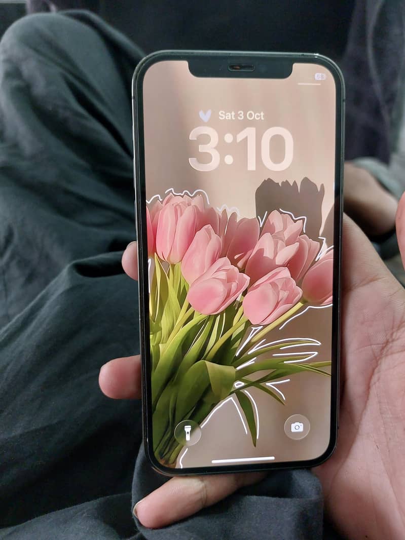 Apple iPhone 12 pro 1