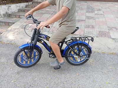 Dolphin River 16 inch Cycle