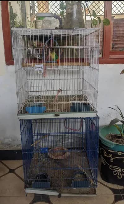 cages and breeding box for sale