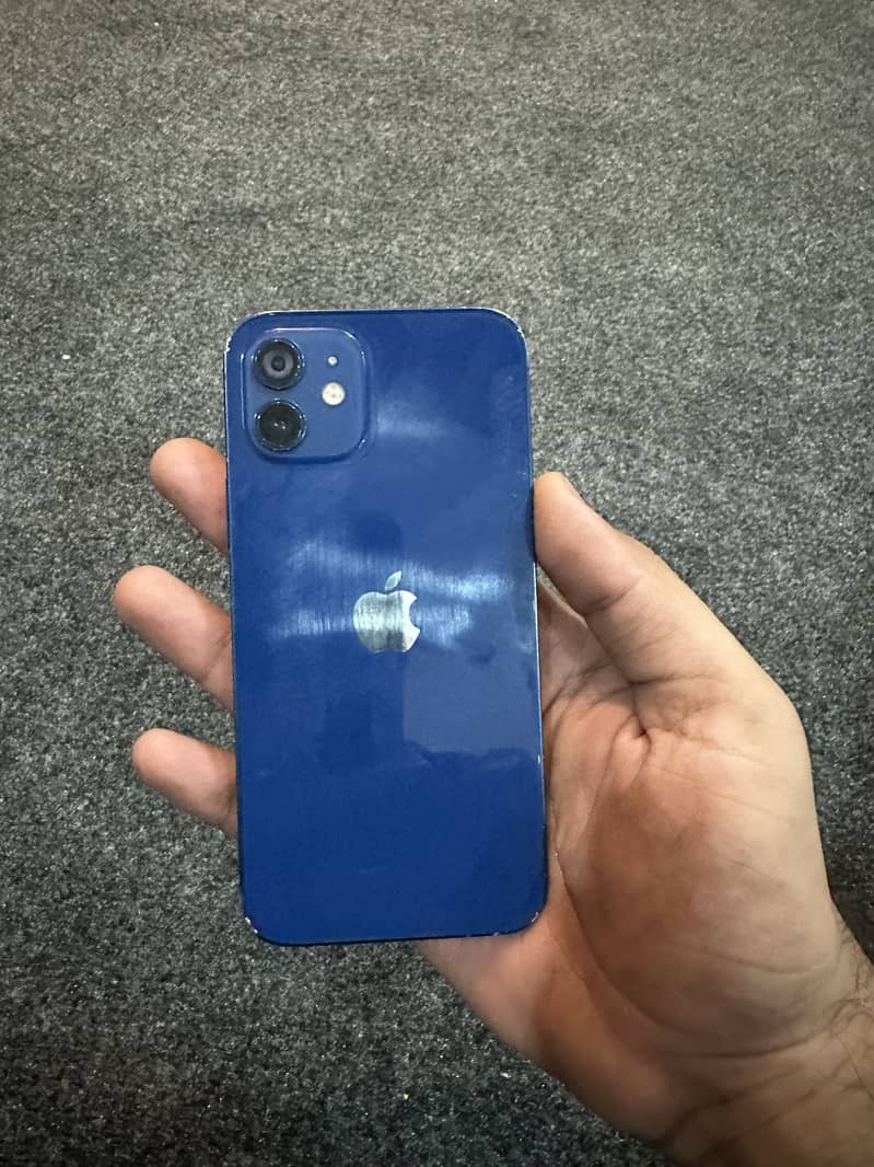 Apple iPhone 12 1