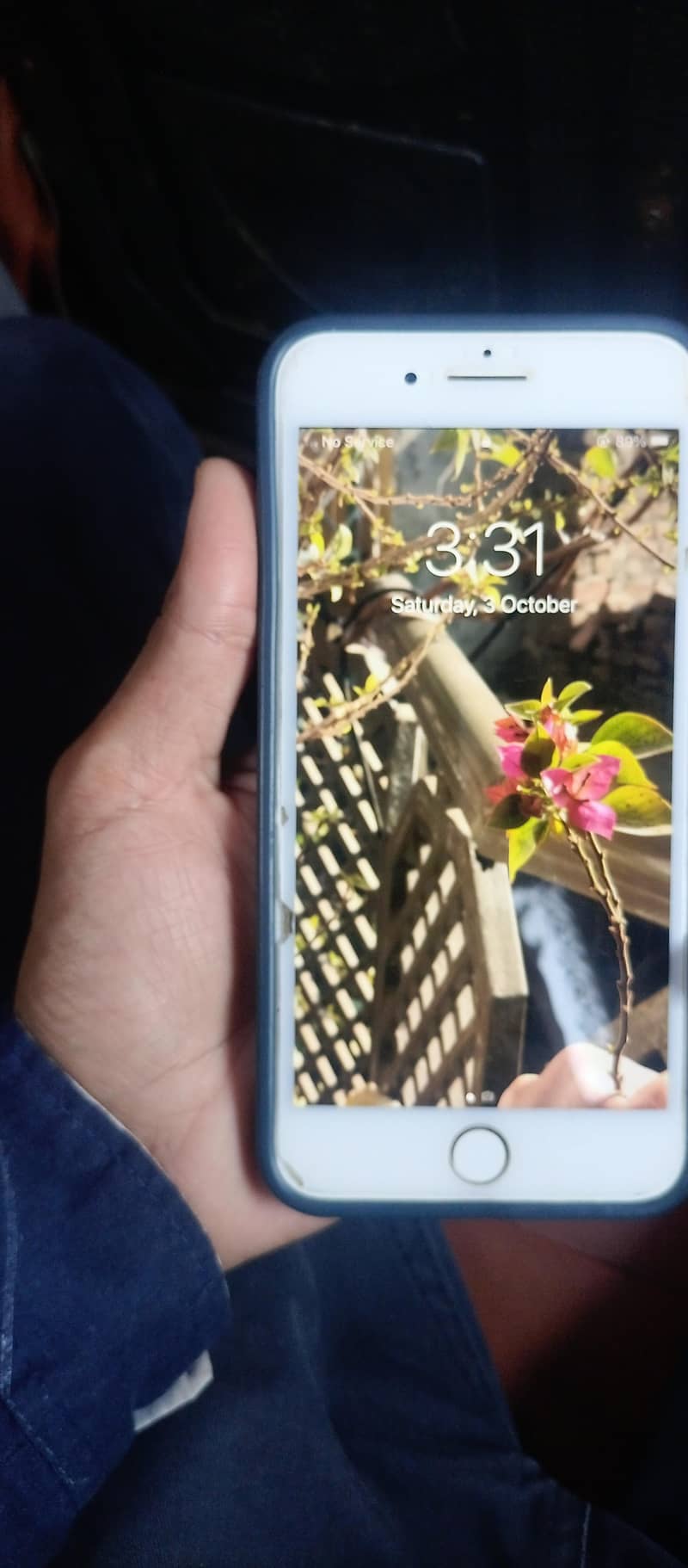 Apple iPhone 8 Plus 0
