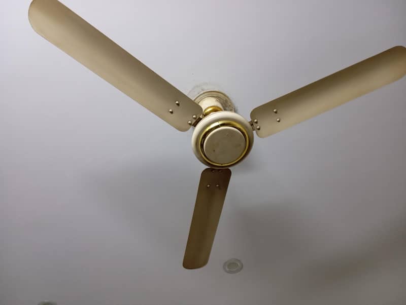 ceiling fan working condition (3) 0