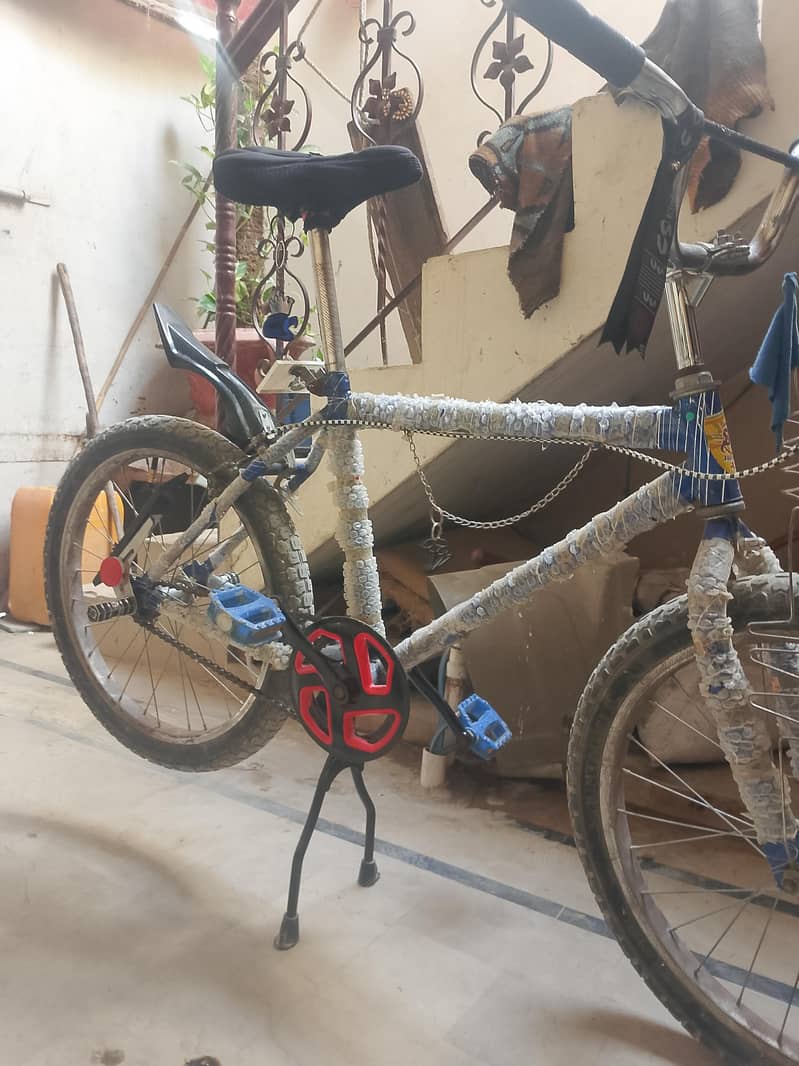 shapater cycle 1