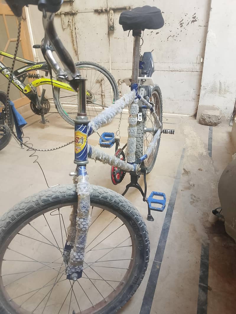 shapater cycle 2