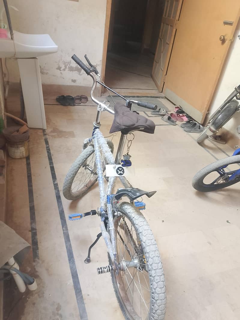 shapater cycle 4