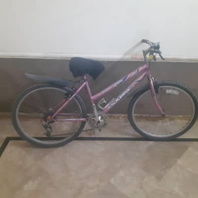 Top Gear Cycle