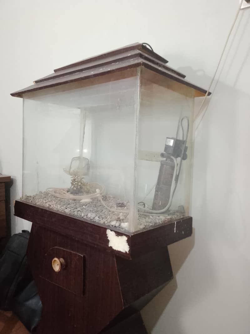 aquarium 0