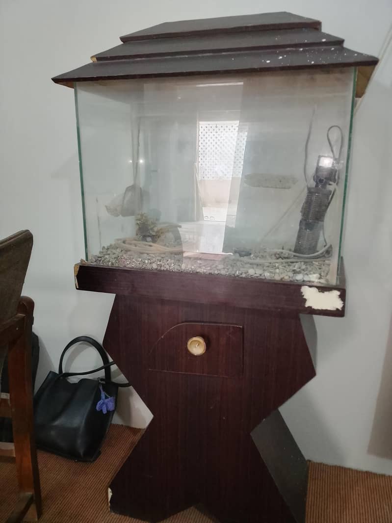 aquarium 1