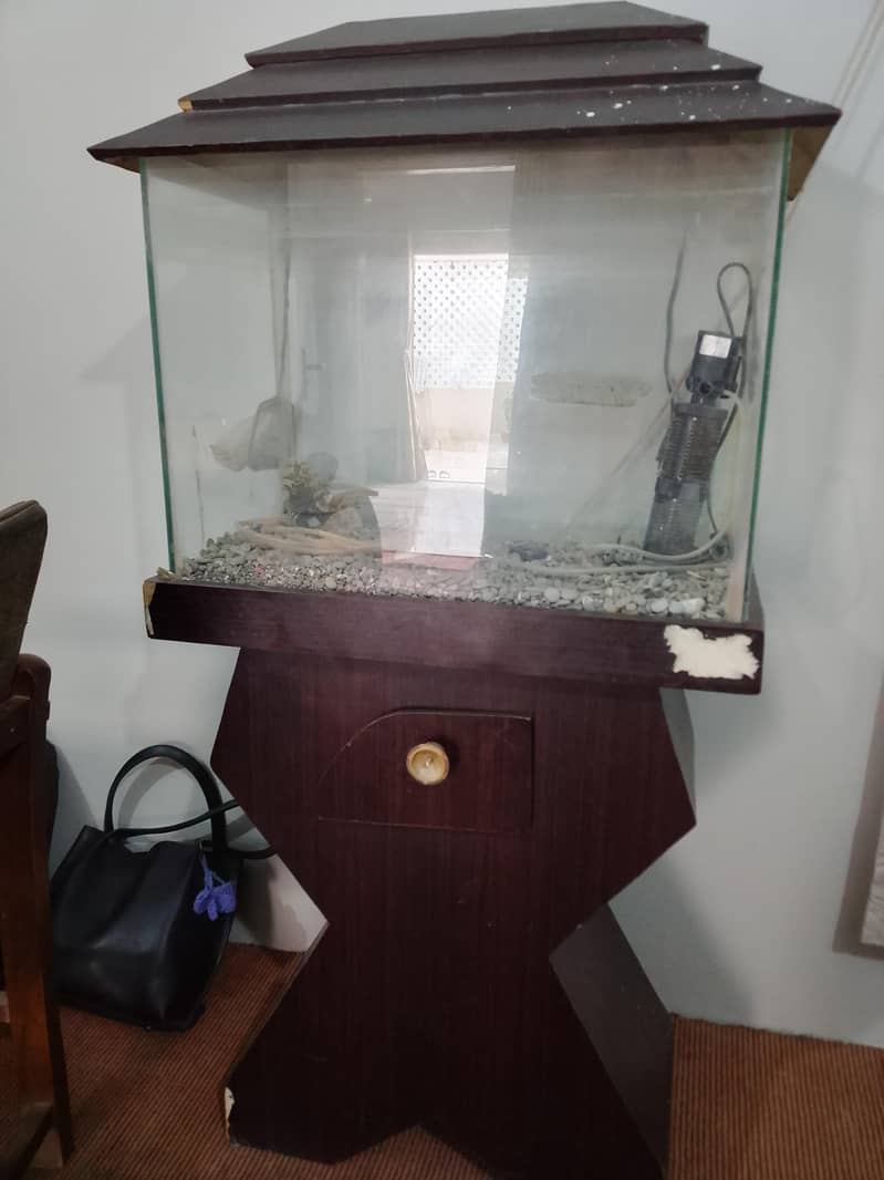 aquarium 2