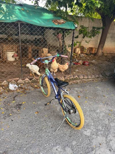 Kids bicycle for 1-4 Years | children bike| Good condition