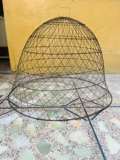 Wire Hen Cage / Chicken Cover
