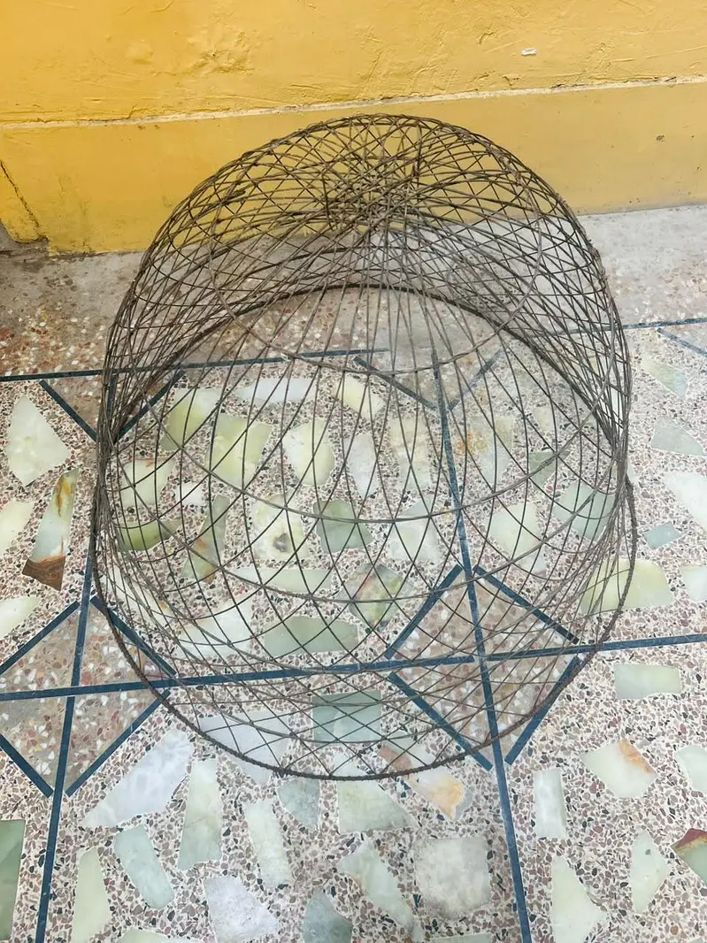 Wire Hen Cage / Chicken Cover — photo 2