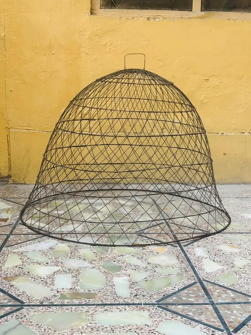 Wire Hen Cage / Chicken Cover — photo 3