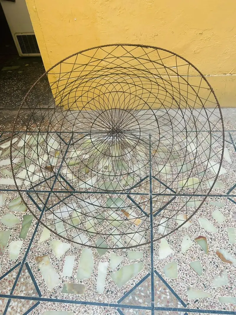 Wire Hen Cage / Chicken Cover — photo 4