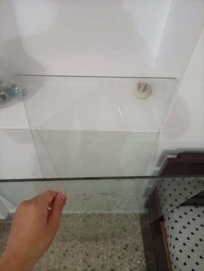 Showcase