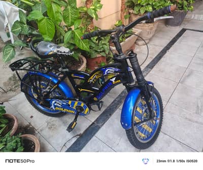 Dolphin River 16 inch Cycle