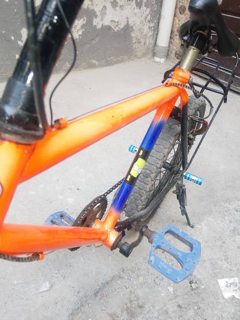 bicycle 20 13