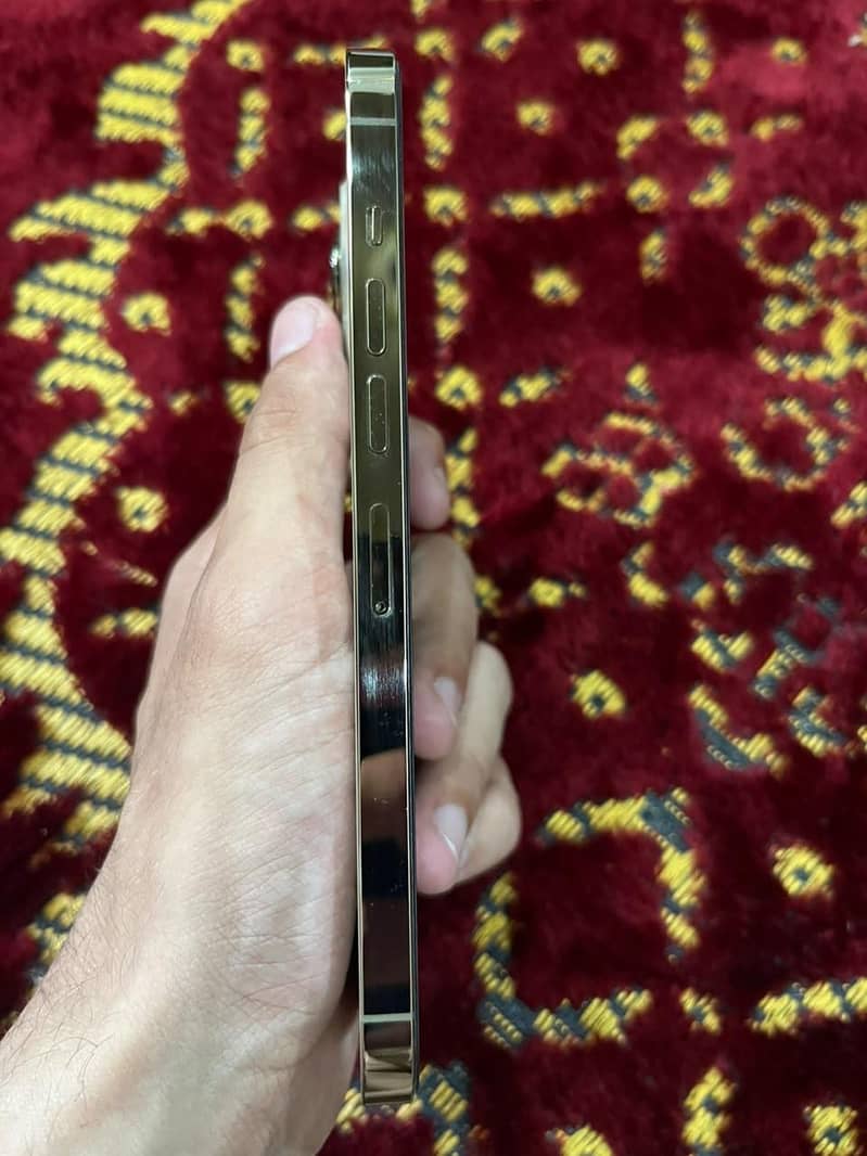 Apple iPhone 13 Pro Max 1