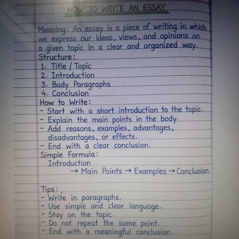 Content writer 2