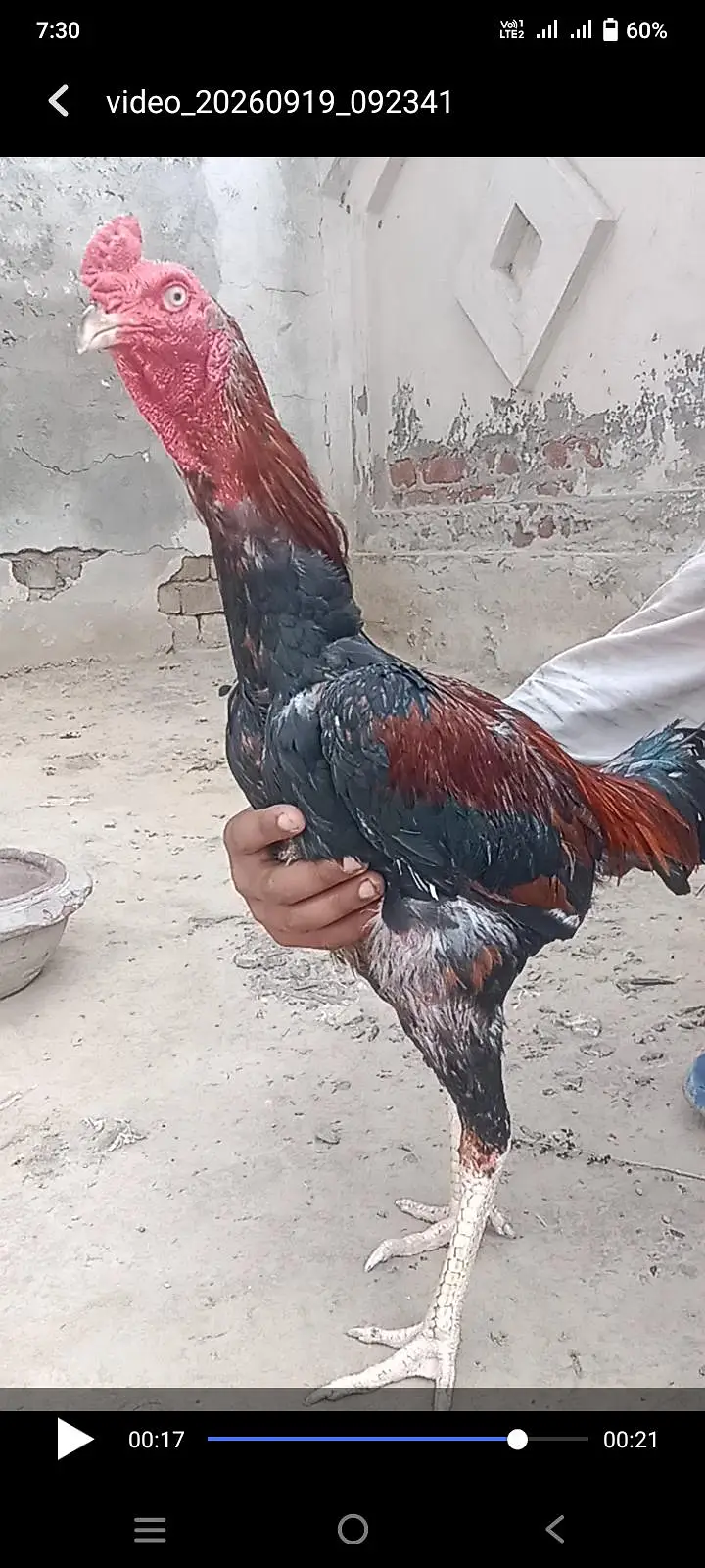 her ek ki different price details ma likhi ha 03*02*42*27*215 — photo 5
