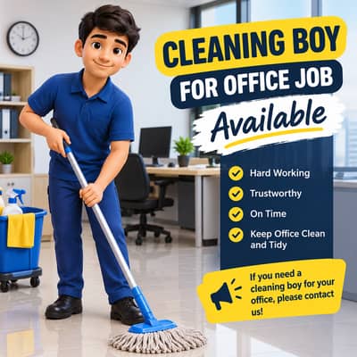 Professional cleaning boy job