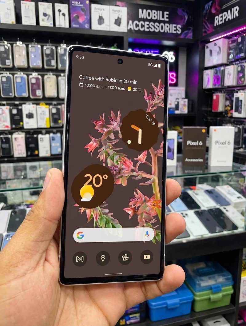 Google Pixel 6 Pro 2