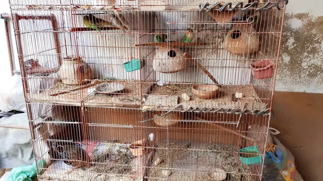 urgent  all setup for sell — photo 2