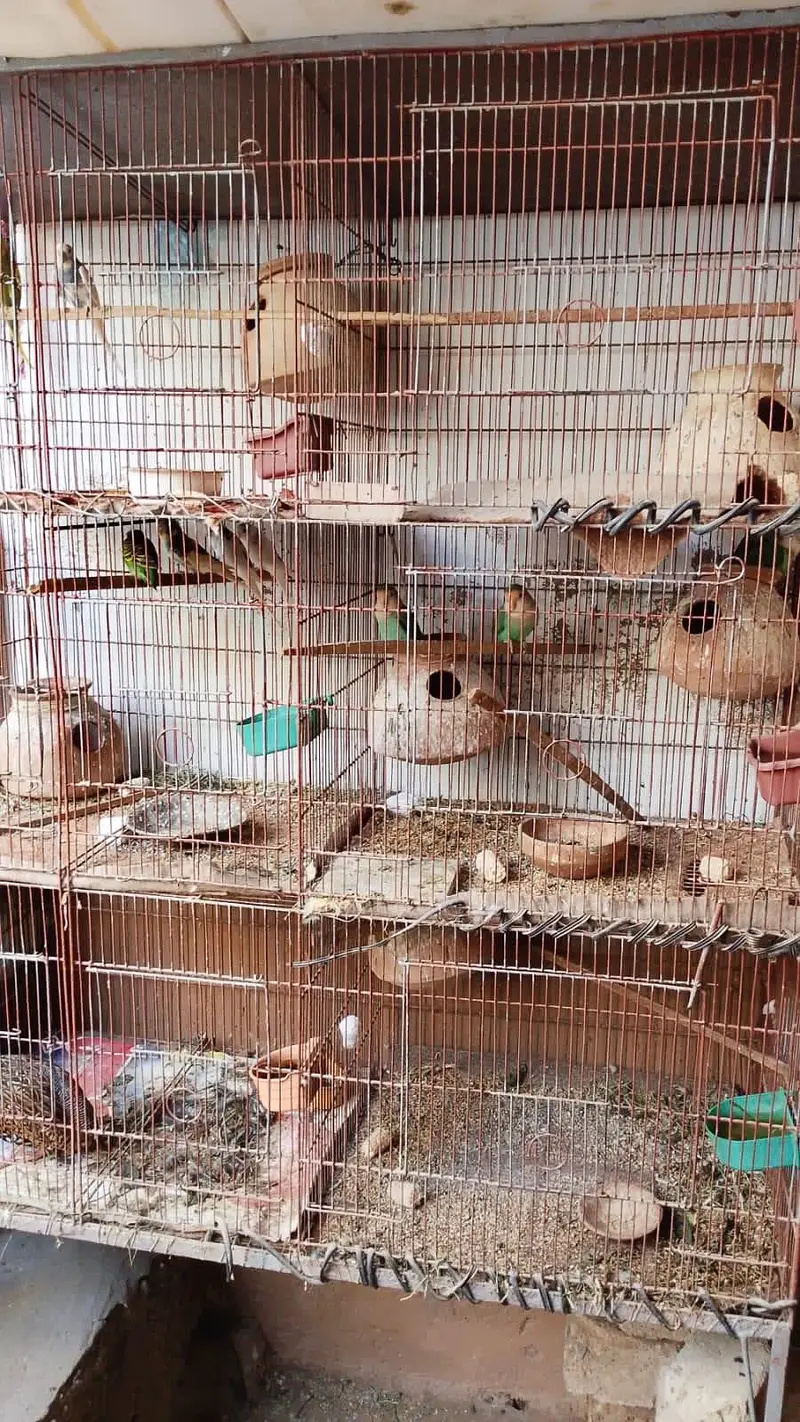 urgent  all setup for sell — photo 4