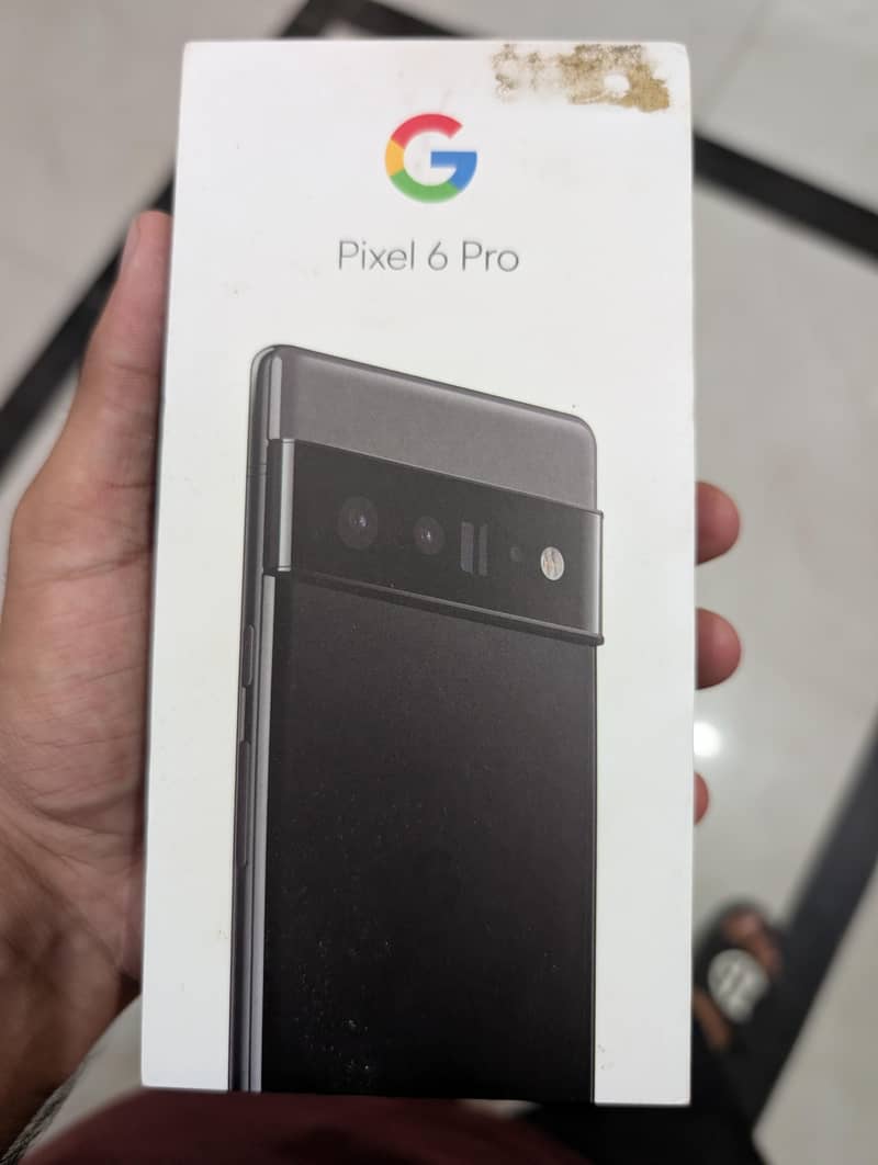 Google Pixel 6 Pro 1