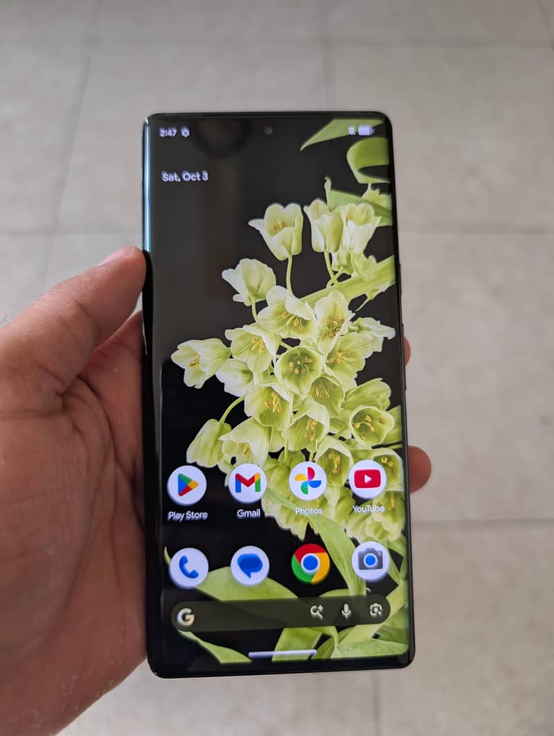 Google Pixel 6 Pro 2