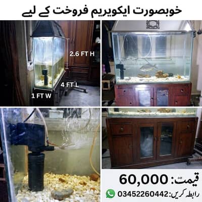 Fish Aquarium