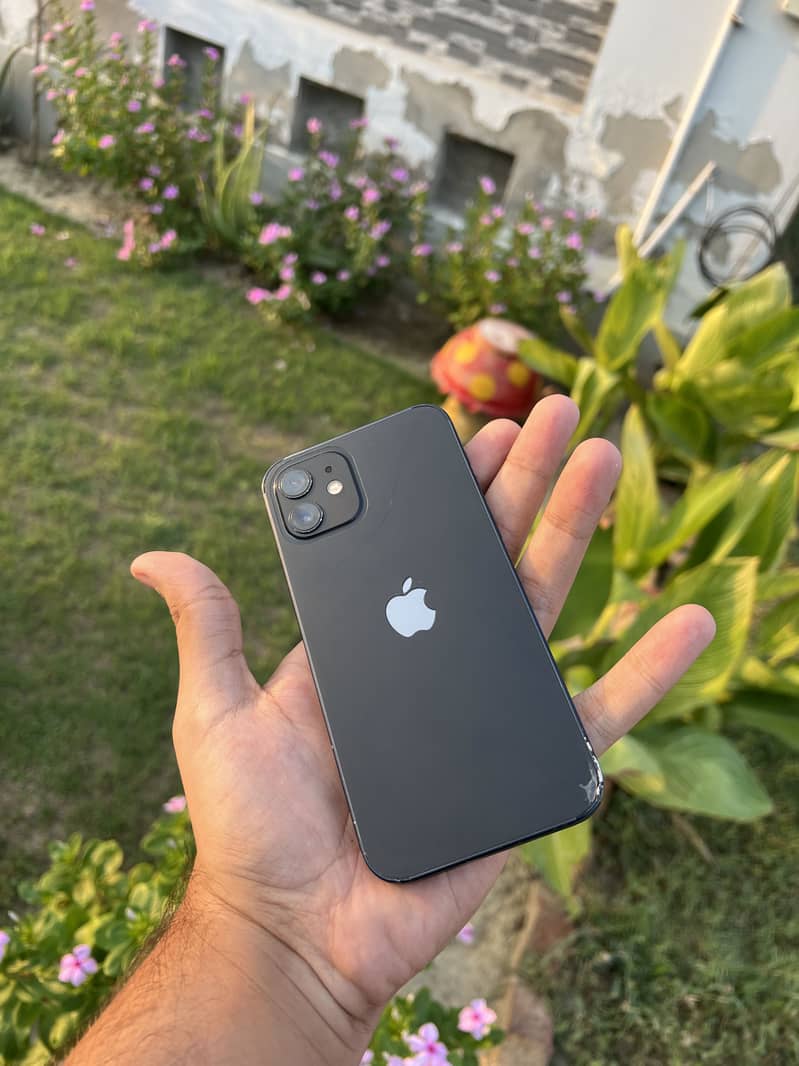 Apple iPhone 12 1