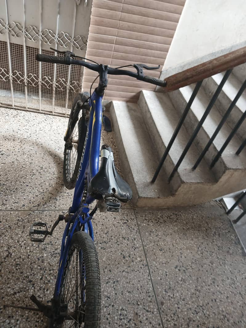 bicycle 2