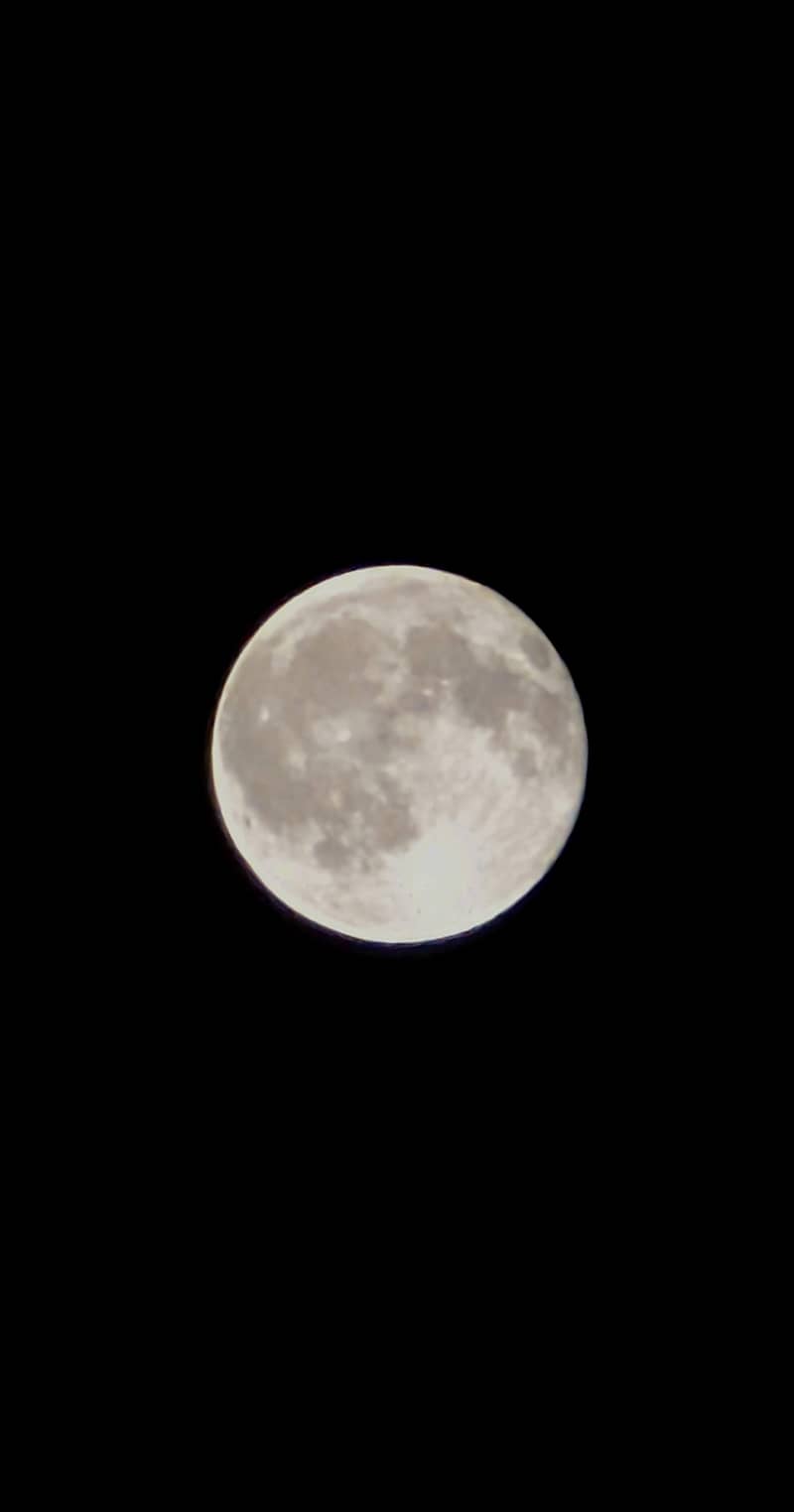 Google Pixel 8 Pro 3