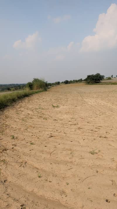 65 Kanal Agricultural Land for Sale Near Kallar Kahar, Chakwal
