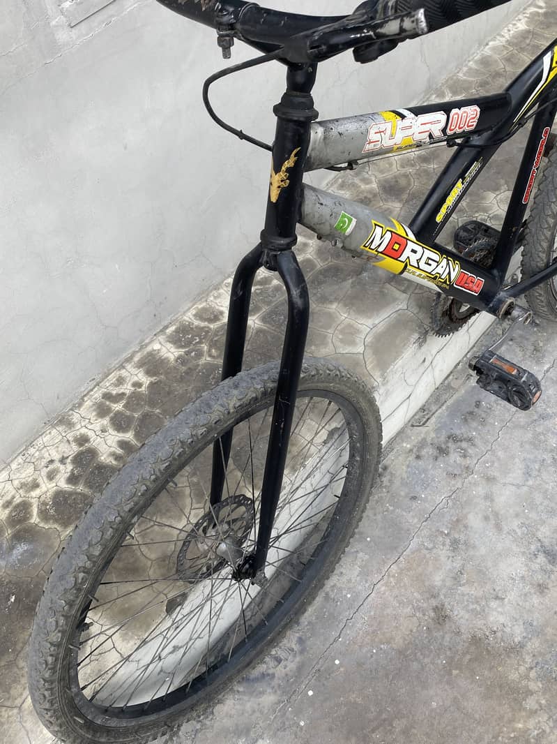 Morgen Cycle 2
