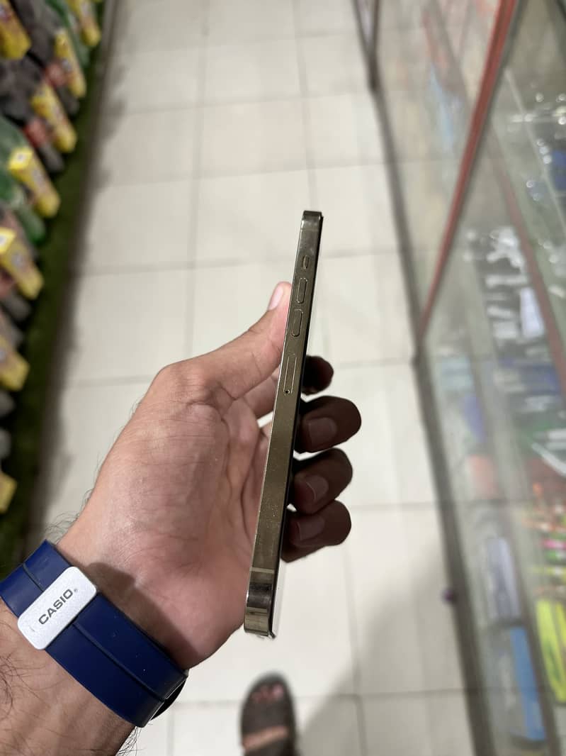 Apple iPhone 13 Pro Max 1