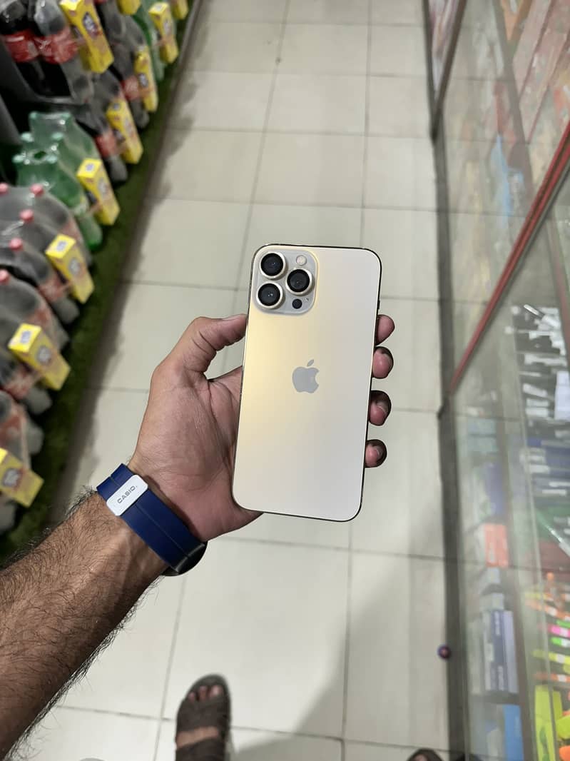 Apple iPhone 13 Pro Max 2