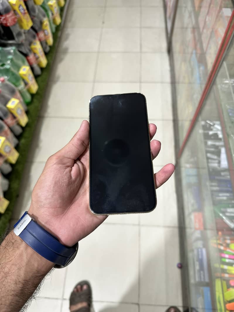 Apple iPhone 13 Pro Max 3