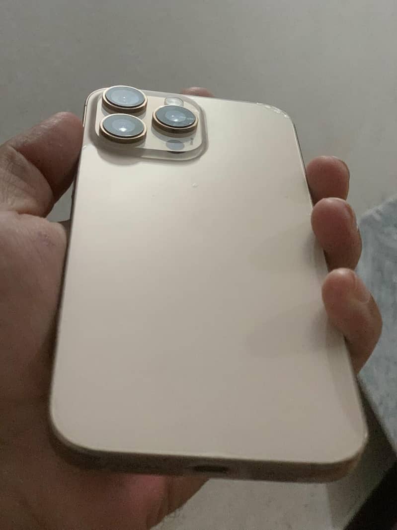 Apple iPhone 16 Pro Max 1