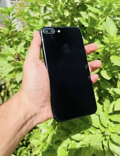 Iphone 7 plus