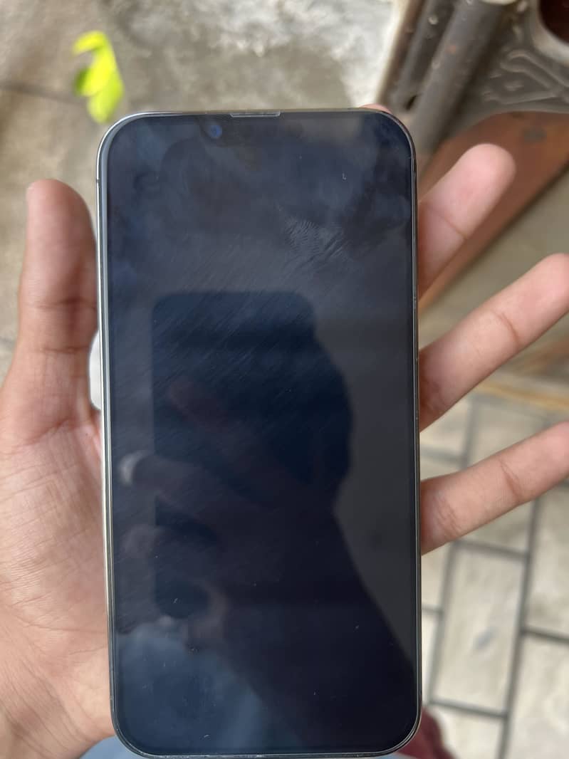 Apple iPhone 13 Pro Max 3
