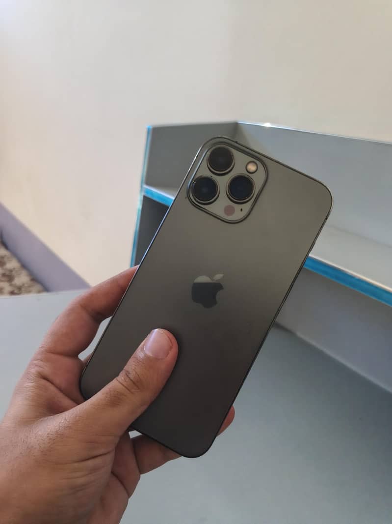 Apple iPhone 13 Pro Max 1