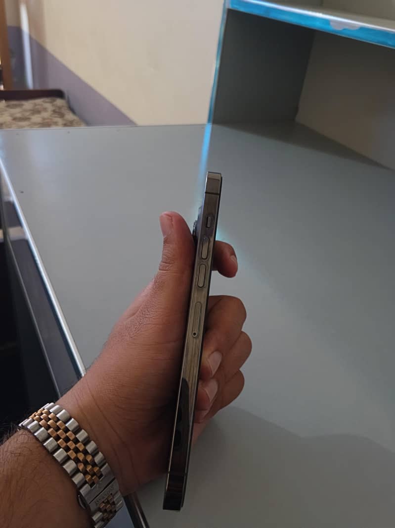 Apple iPhone 13 Pro Max 3