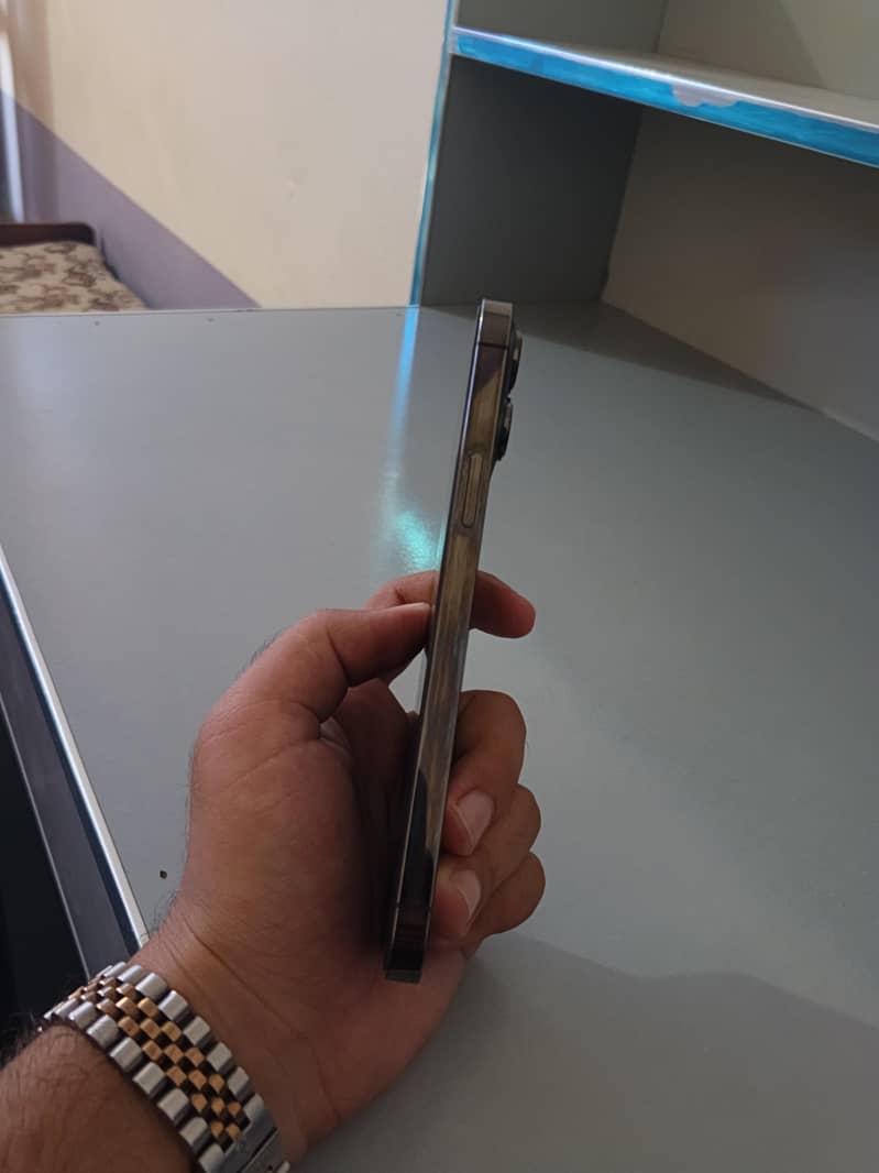 Apple iPhone 13 Pro Max 4